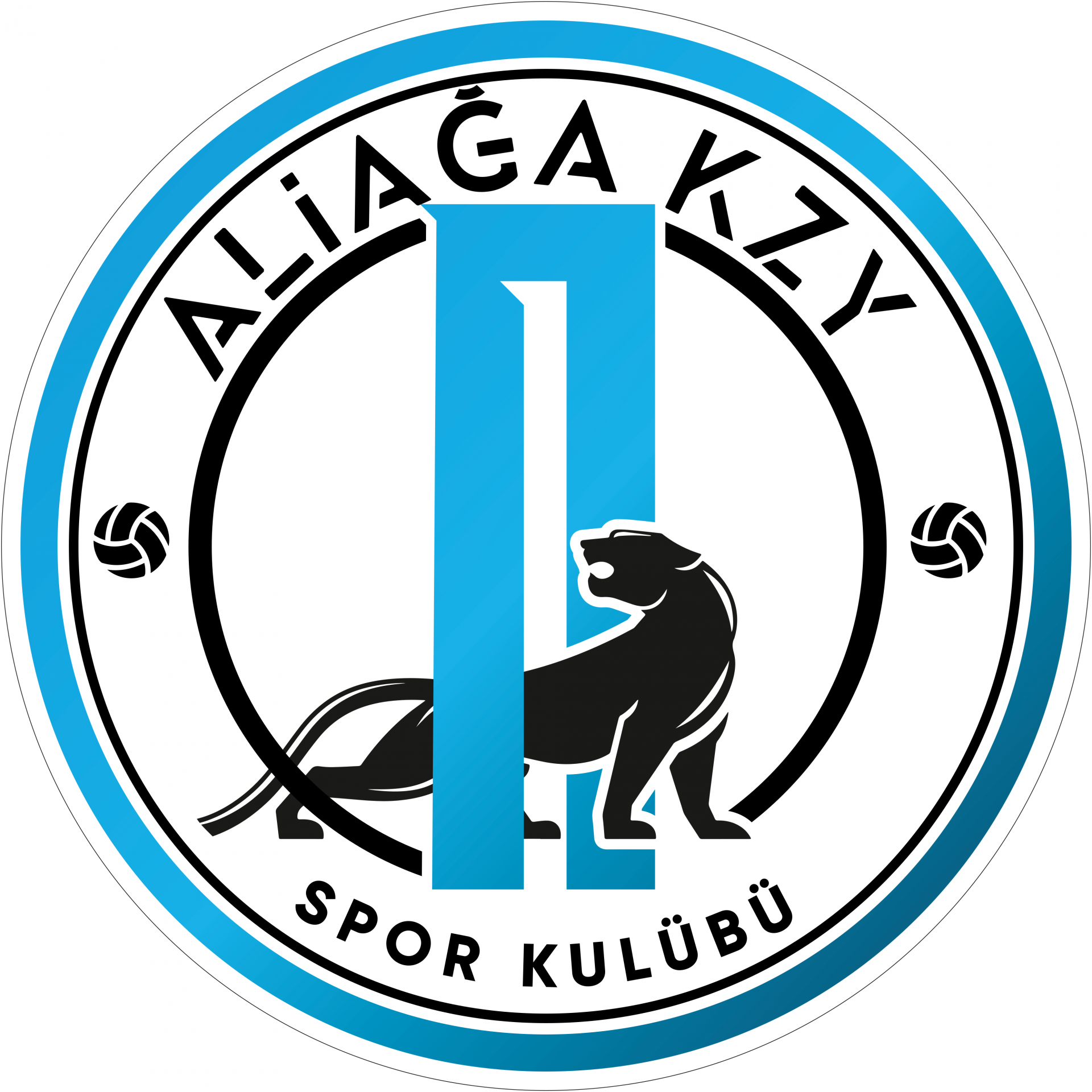 Aliağa KZY